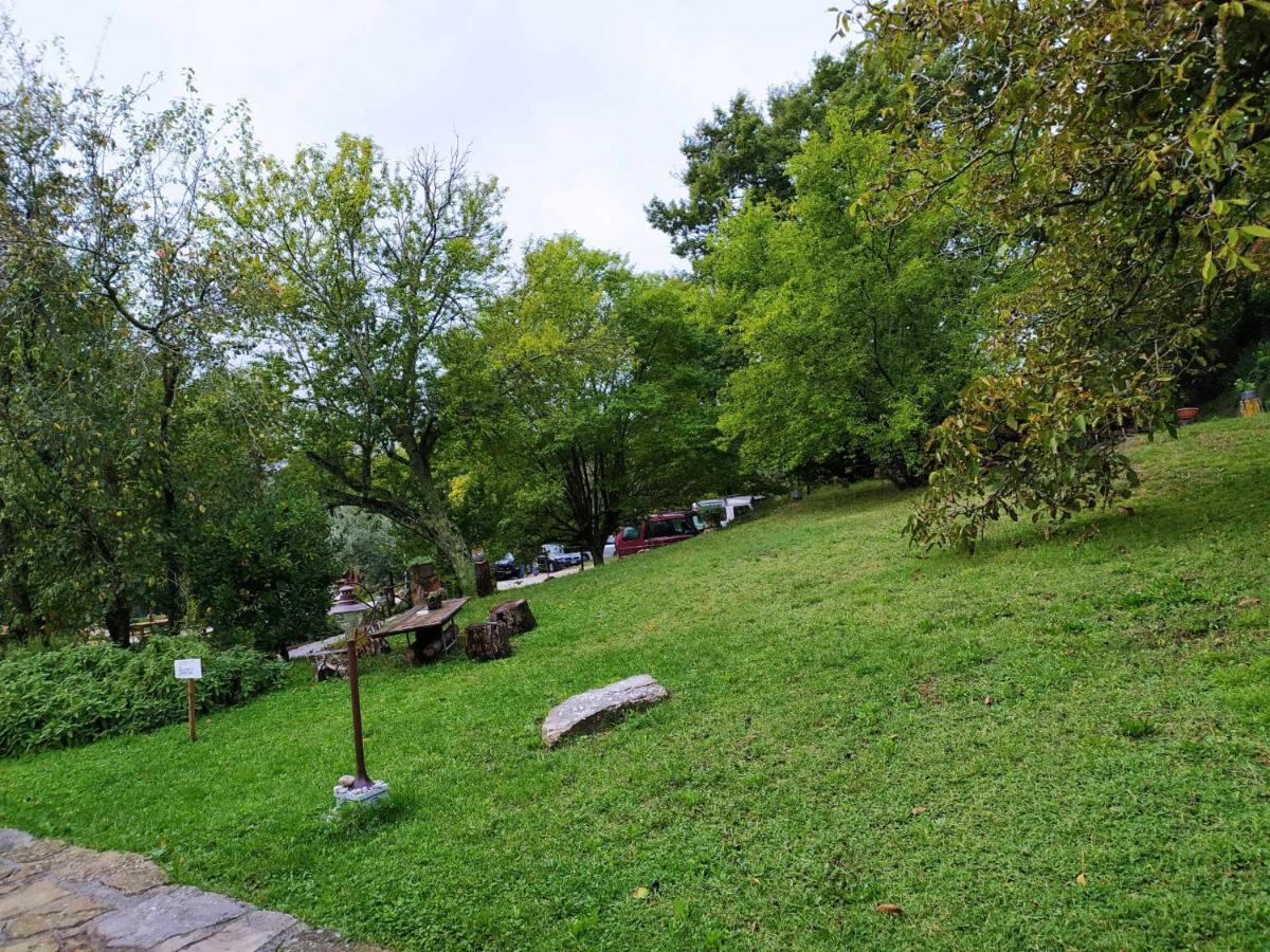 Agriturismo Montesalce Губбио Экстерьер фото