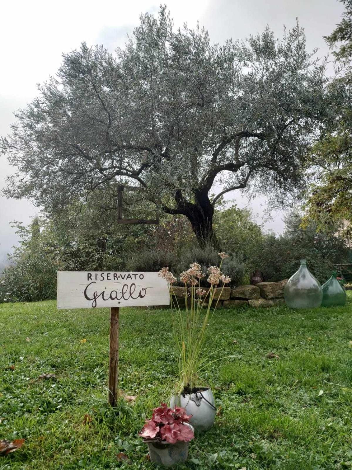 Agriturismo Montesalce Губбио Экстерьер фото
