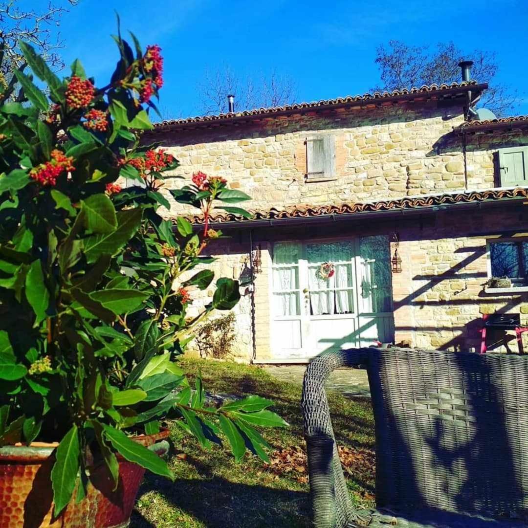 Agriturismo Montesalce Губбио Экстерьер фото